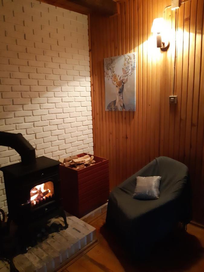 グジノ Lesna Polanaヴィラ エクステリア 写真