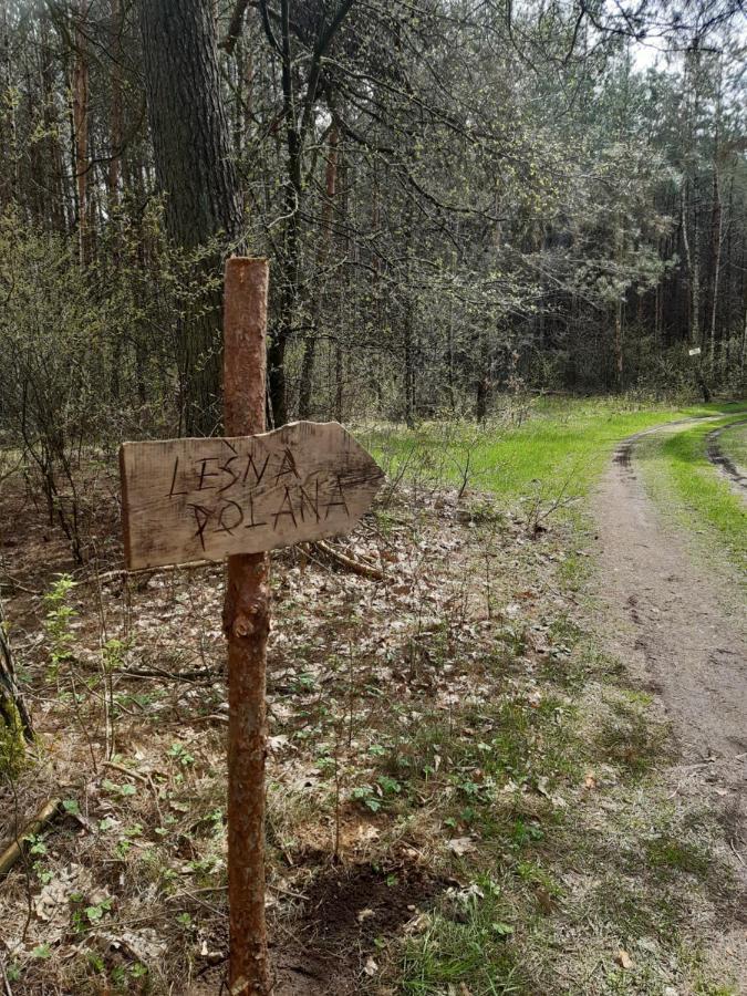 グジノ Lesna Polanaヴィラ エクステリア 写真